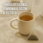 2x Koktajle na odchudzanie Kontrola Apetytu + Herbata na trawienie GRATIS! - obrazek 13