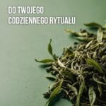 2x Zielone Koktajle Detox + Detox herbata na trawienie GRATIS - obrazek 11