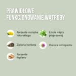Detox herbata na wątrobę i trawienie - obrazek 6